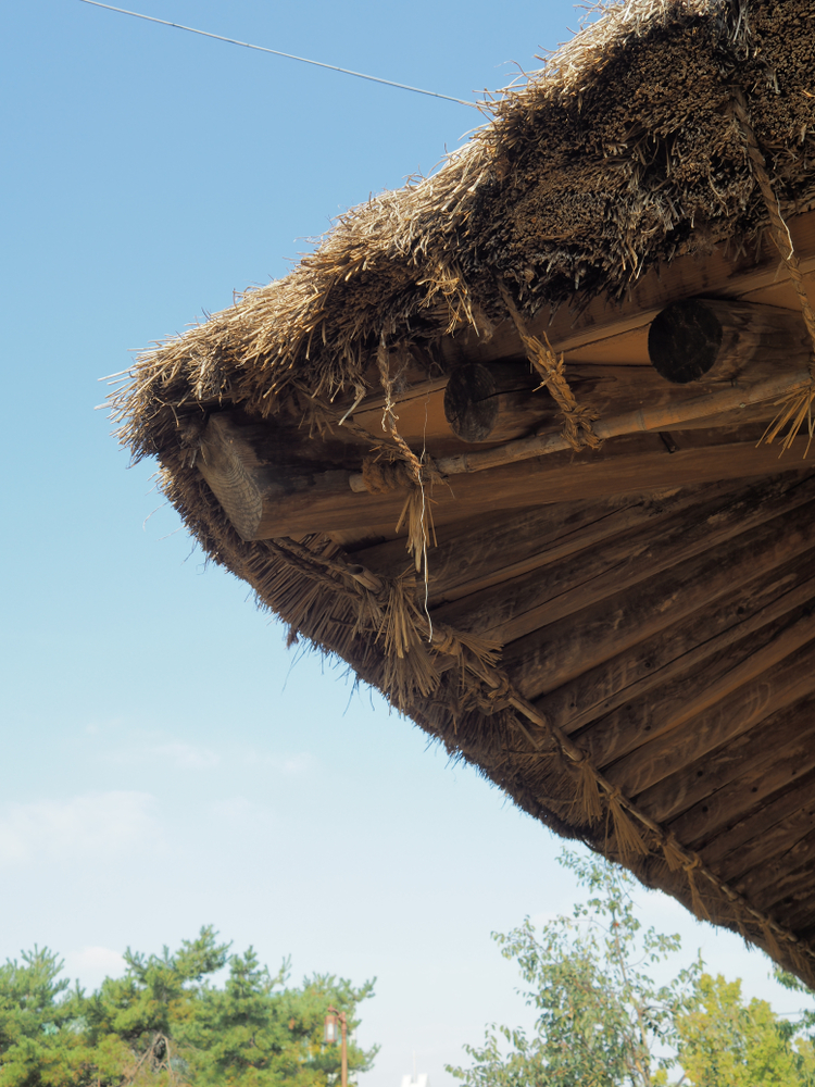 Tout savoir sur la toiture en brande de bruyère